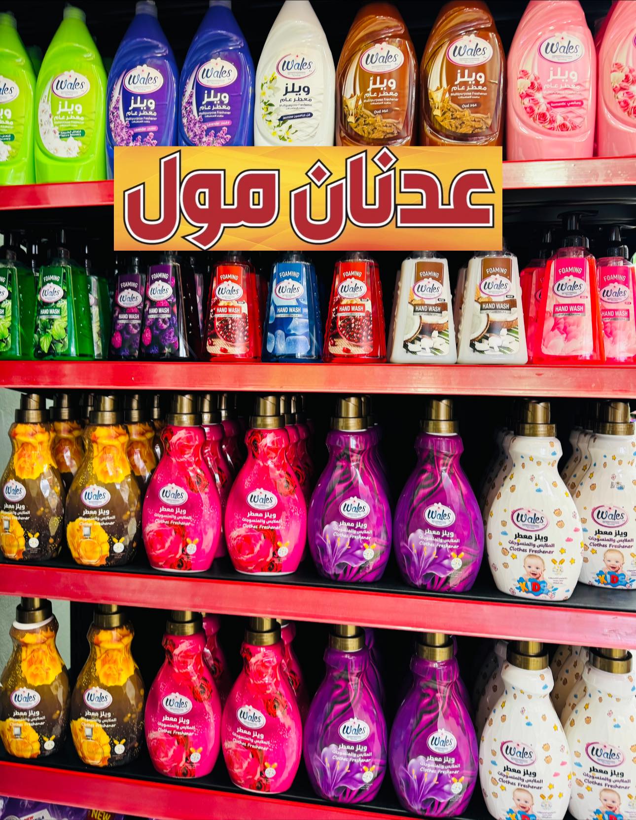 عدنان مول - صورة 1