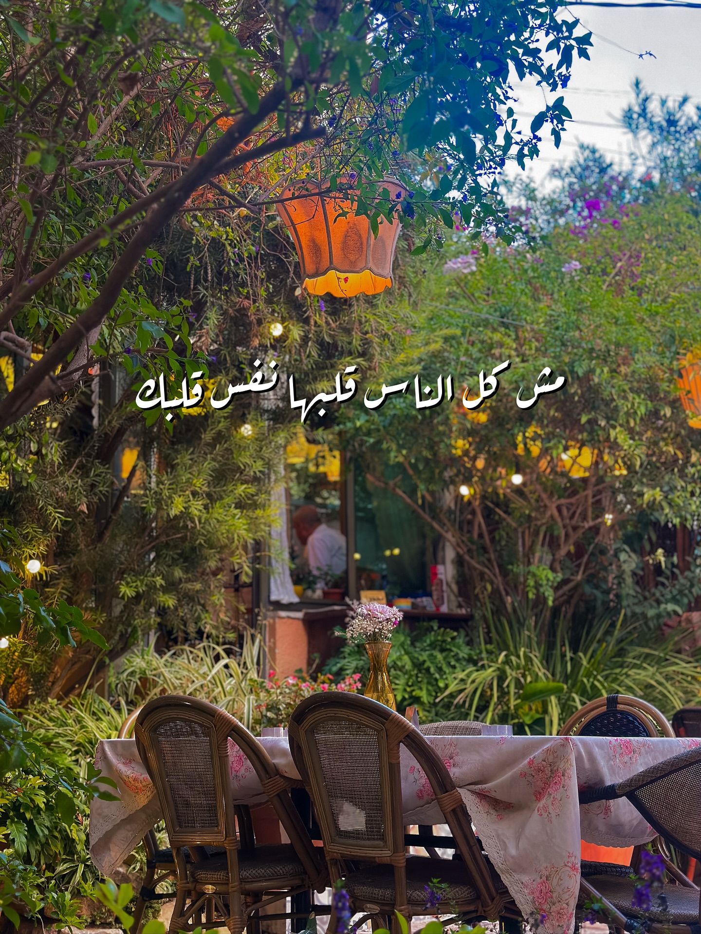 بيت أرضي - Beit Ardi - صورة 1