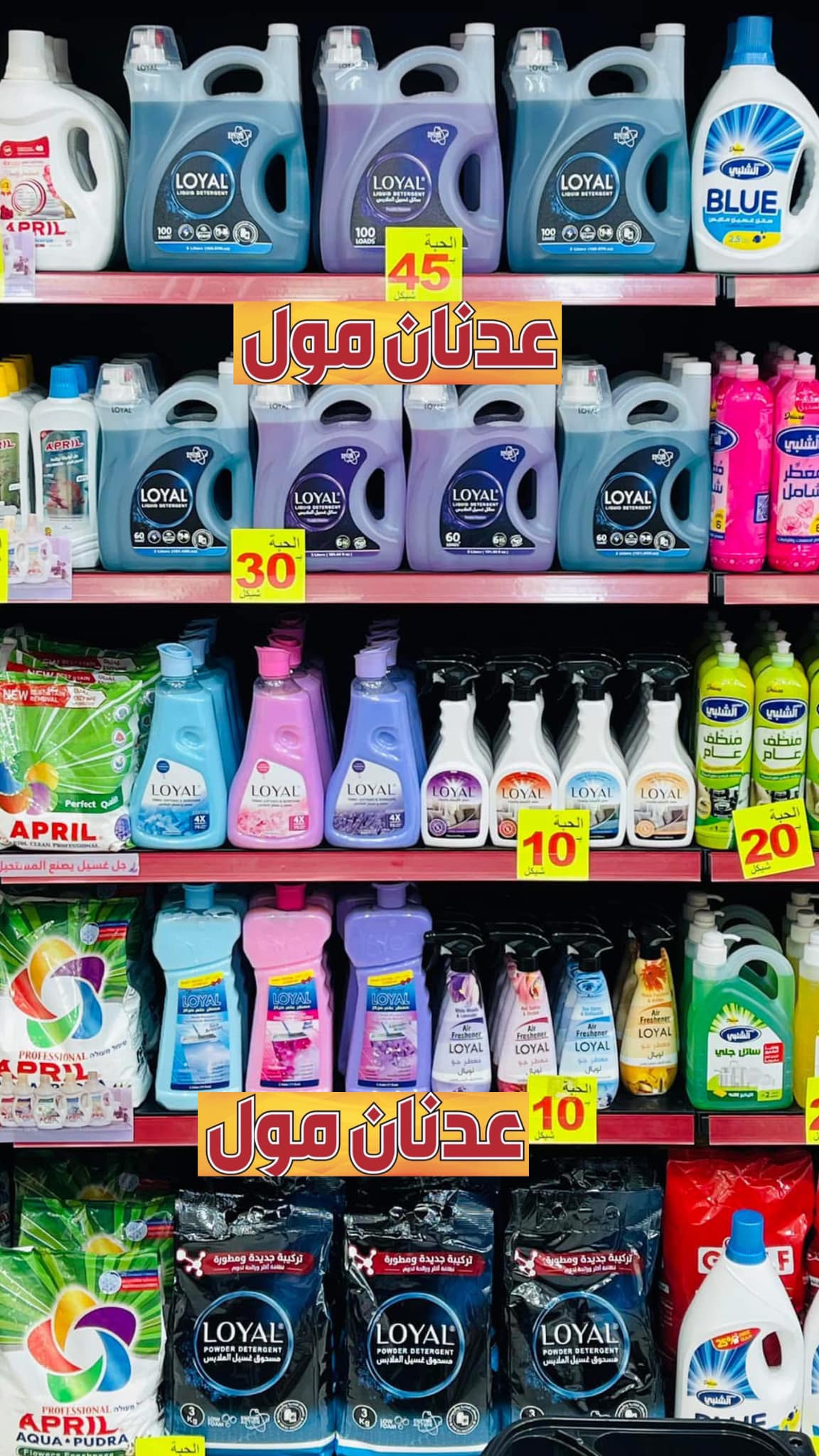 عدنان مول - صورة 4
