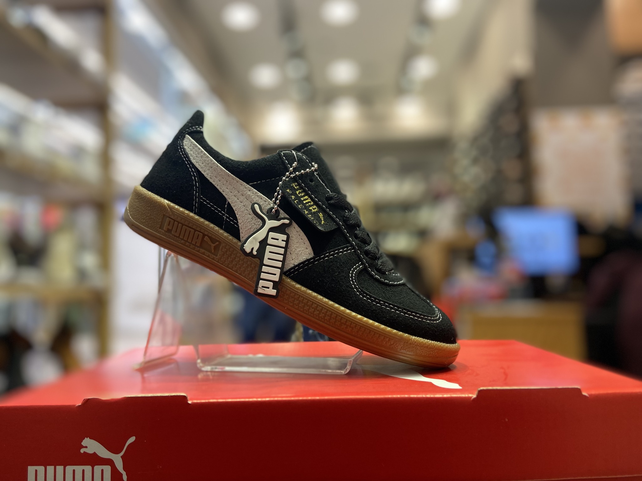 FIOLA Shoes - صورة 4